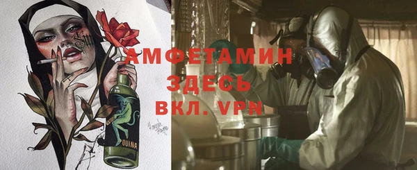 метадон Алексин