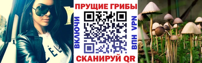 KRAKEN рабочий сайт  Советская Гавань  Псилоцибиновые грибы Cubensis  купить наркотики сайты 